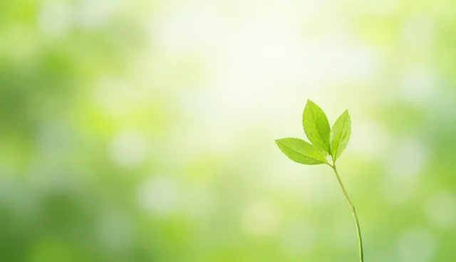 广告设计制作中视频剪辑的适用条件及选择依据