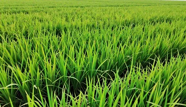 广告投放效果受受众定位偏差的影响原因分析