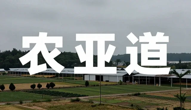 广告创意设计如何影响媒介投放传播效果